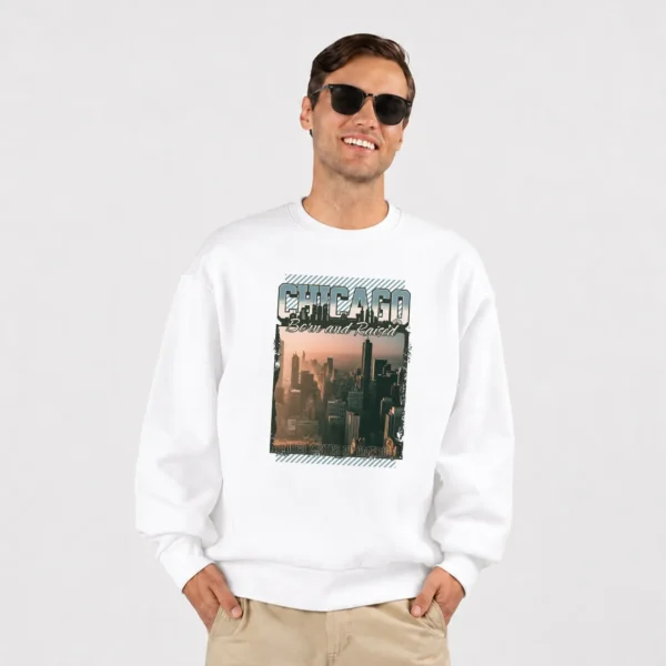 دورس شیکاگو طرح خط آسمان شهر (Chicago Skyline) کد 13639