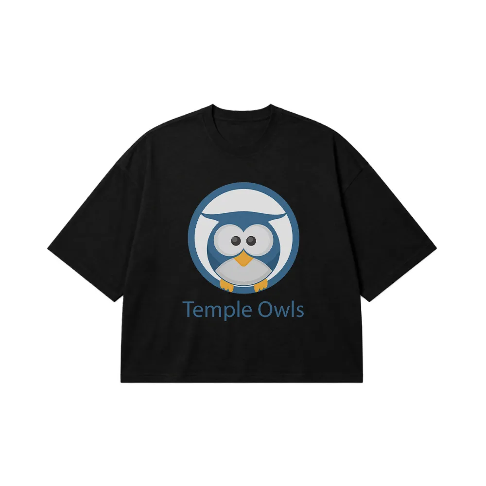 تیشرت باکسی جغد طرح Temple Owls آبی کد 19320