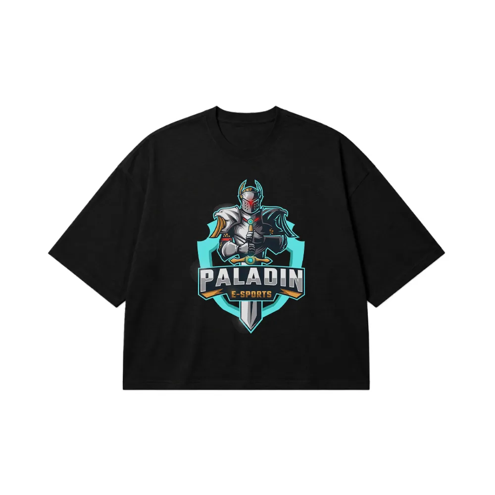 تیشرت باکسی گیمینگ طرح Paladin E-Sports کد 5897
