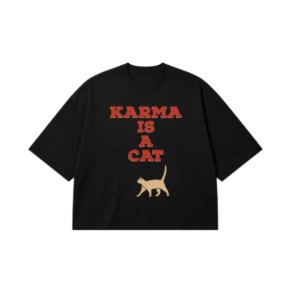 تیشرت باکسی تیلور سوئیفت طرح Karma Is a Cat کد po3103